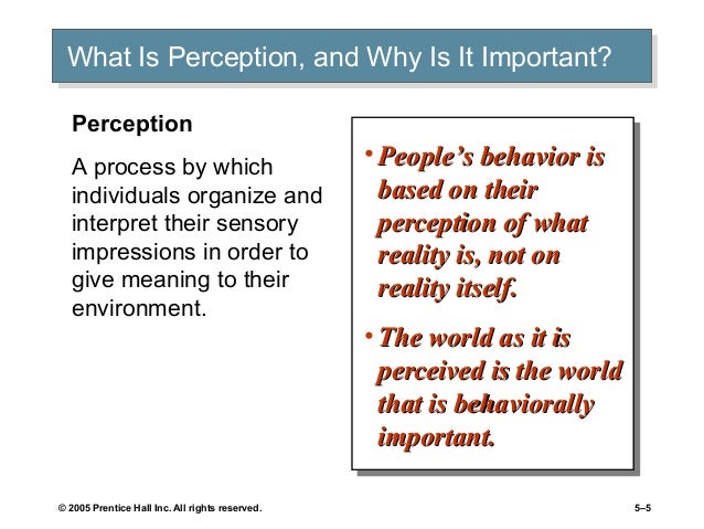 what is perception role of perception